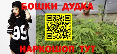 гидра Нальчик