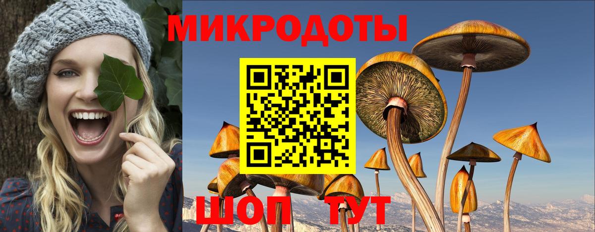 Троицк  Галлюциногенные грибы GOLDEN TEACHER  Галлюциногенные грибы MAGIC MUSHROOMS  Вход с VPN 